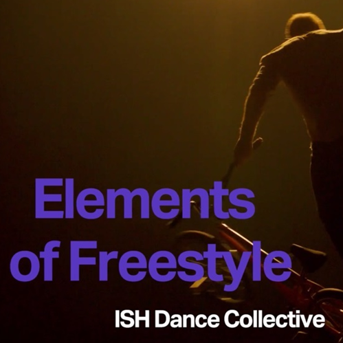 Elements of Freestyle Opening Night Performance