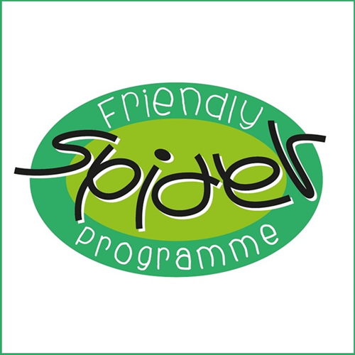 ZSL London Zoo's Friendly Spider Programme